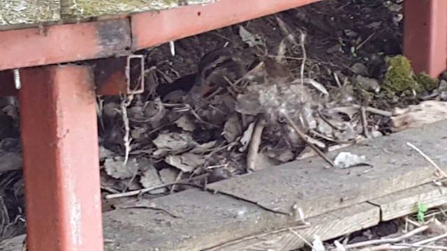Рыбалка в Машково платник смотреть онлайн