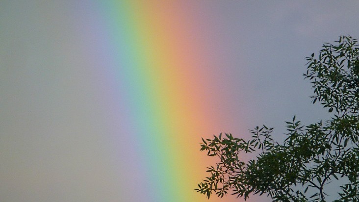 Песнь Весне.