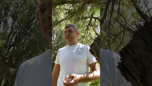 О четвёртом раунде начисления новемкоин смотреть онлайн