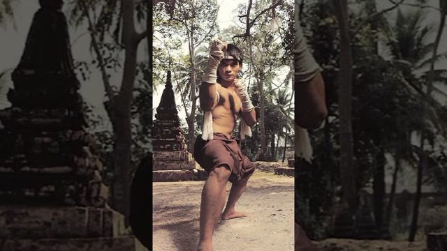 TONY JAA MUAY THAI LEGEND#short смотреть онлайн