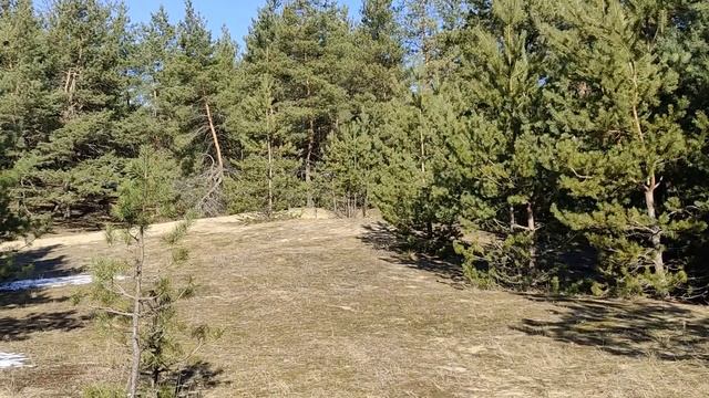 25 марта народный праздник Феофанов день. Именинники дня. Что нельзя делать. Народные приметы.