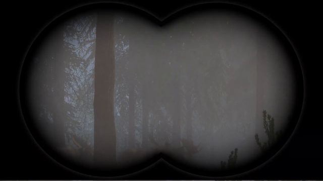 !!! ВЕЛИЧЕЗНИЙ ЛОСЬ НА ЗОЛОТО !!! в the hunter call of the wild смотреть онлайн