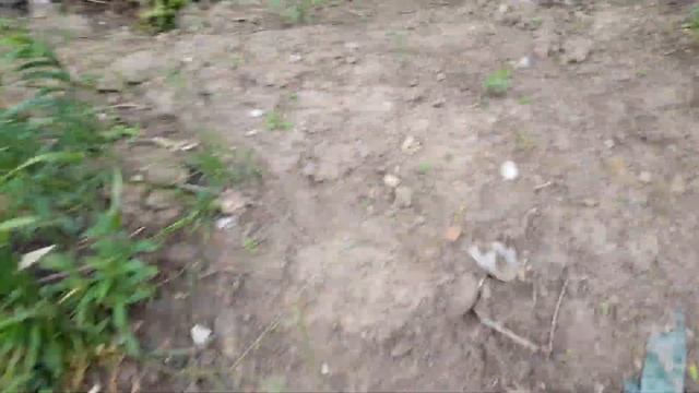 Сталк. Куда ведут тропинки? смотреть онлайн