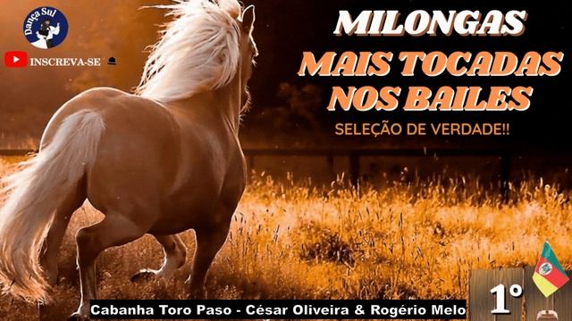 MELHORES SELEÇÔES DAS MÚSICAS GAUCHESCAS ? RITMO MILONGA ! ? смотреть онлайн