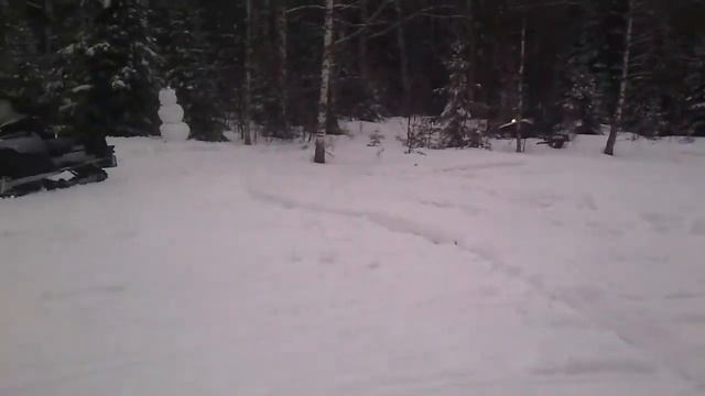 КЛИНСКИЕ КАБАНЫ НА СНЕГУ смотреть онлайн