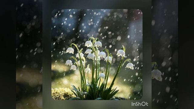 Дождик на окне - Ю.С. Гусаров (rain on the window - Yuriy Gusarov) смотреть онлайн