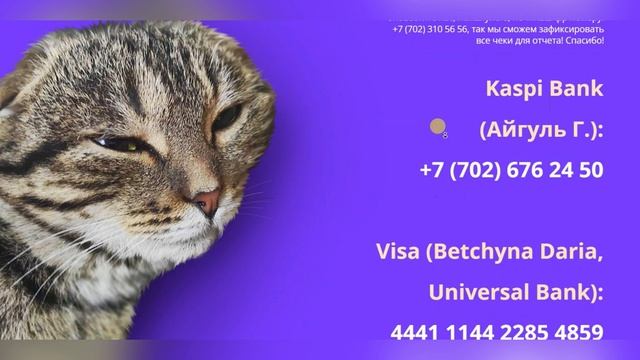 Проект №059 Хостел Color Cats смотреть онлайн