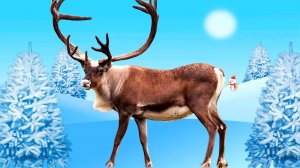 Животные для детей - животные севера, развивающие мультики для детей.mp4