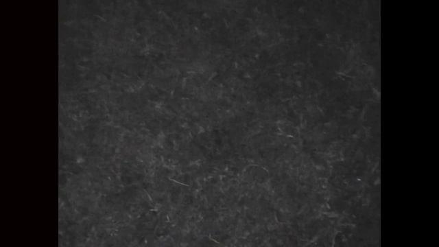 вокруг шеи - we are already in hell смотреть онлайн