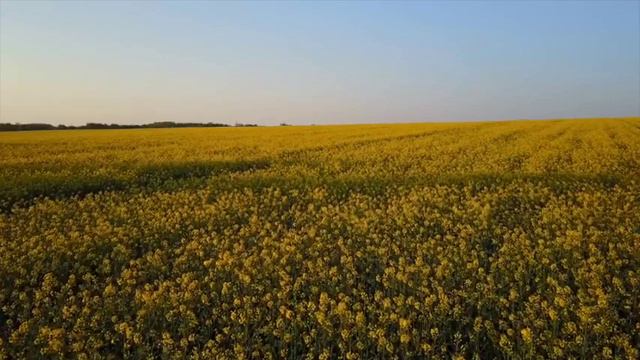 Live in My Heart and Psalm 89: Forever I Will Sing - Song & Psalm, Ordinary Time смотреть онлайн