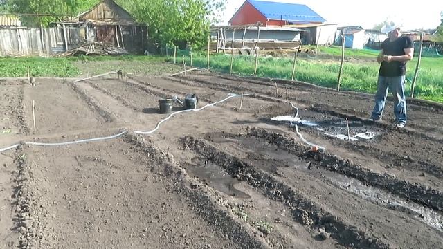Дела огородные.Первый прокол в огороде. смотреть онлайн