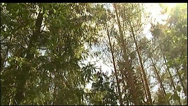 Строительные Совпадения