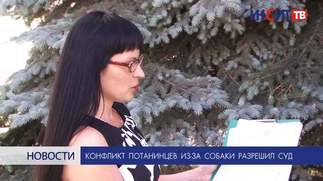 Конфликт копейчан из-за укуса собаки разрешил суд смотреть онлайн