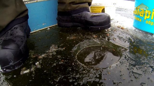 Экшн-рыбалка. Плотва, Иваньковское водохранилище. Второй первый лед :) [salapinru] смотреть онлайн