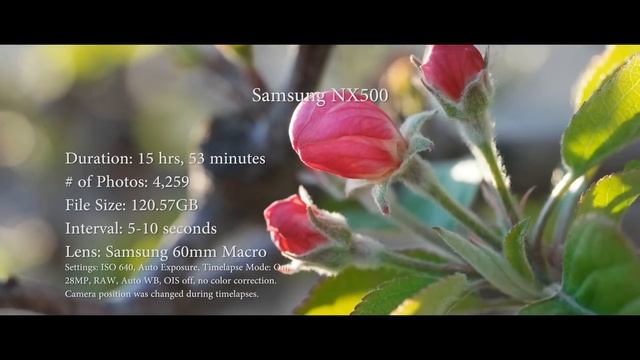 Get 19x GoPro Battery Life for $40 смотреть онлайн