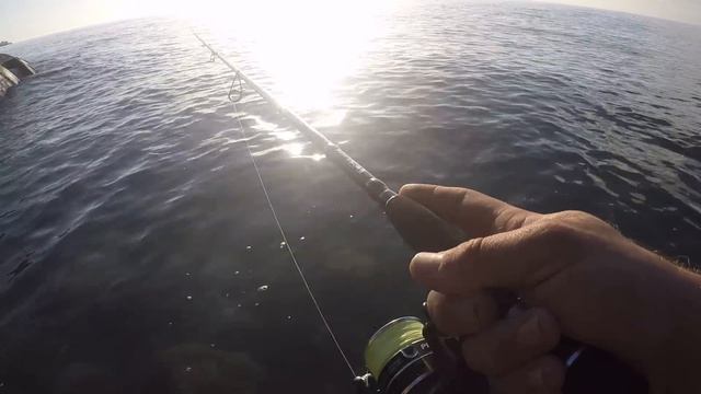 FISHING FOR MACKEREL & BASS USING LURES - I HAVE NEVER SEEN SO MANY FISH ? (UK SEA FISHING) смотреть онлайн
