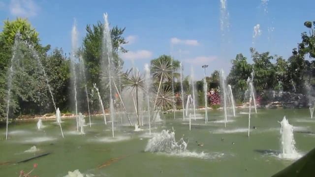 Парк утопия2 В Израиле смотреть онлайн