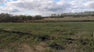 Фундамент  из покрышек, для бытовки