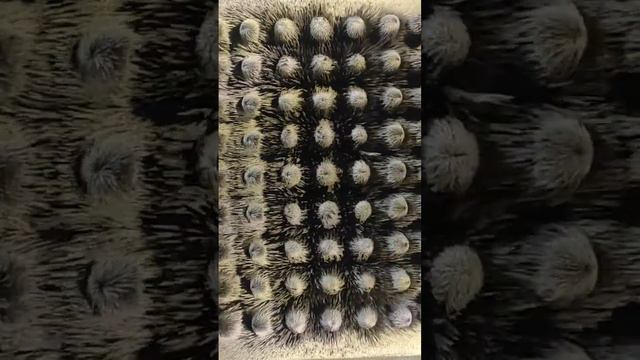 чем меньше знаешь физику, тем больше чудес