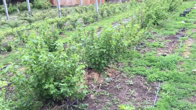 Не продавайте землю! смотреть онлайн