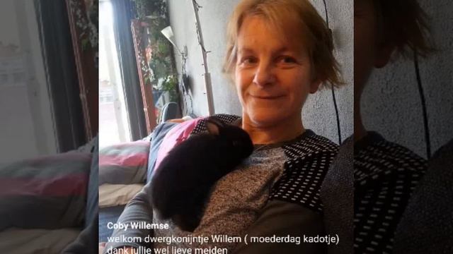 2019 30 04 Renske voor Mamma смотреть онлайн