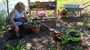 Самая лучшая клумба на двух квадратных метрах