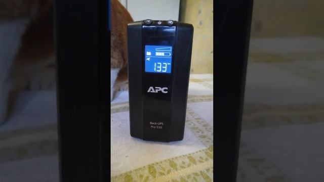 Источник бесперебойного питания ИБП APC Back-UPS Pro 550 смотреть онлайн