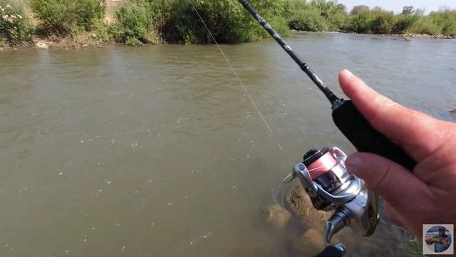 4K הירדן ההררי 02/07/2023 Горный Иордан Jordan River Upper Galilee fishing рыбалка דיג смотреть онлайн