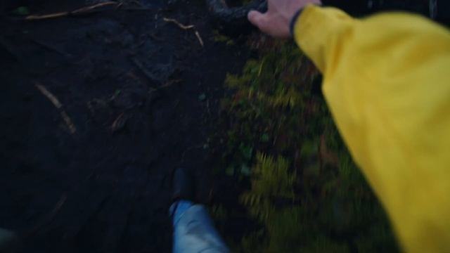 A PERFECT Day In TOFINO - First Person Travel Film