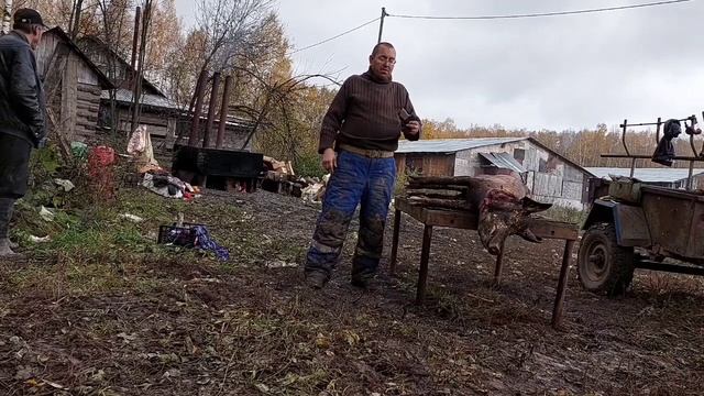 Самооборона сигналом охотника с устройством Пионер , поучительное видео . смотреть онлайн