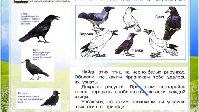 Задание 2 Кто такие птицы? - Окружающий мир 1 класс (Плешаков А.А.) 1 часть смотреть онлайн