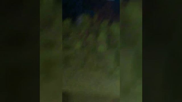 где лучше фпс в тл легаси или в клаунчере щас проверим смотреть онлайн