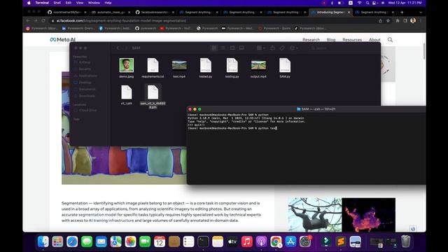 How to Use SAM - Segment Anything Model: A Step-by-Step Guide to Image and Video Segmentation смотреть онлайн