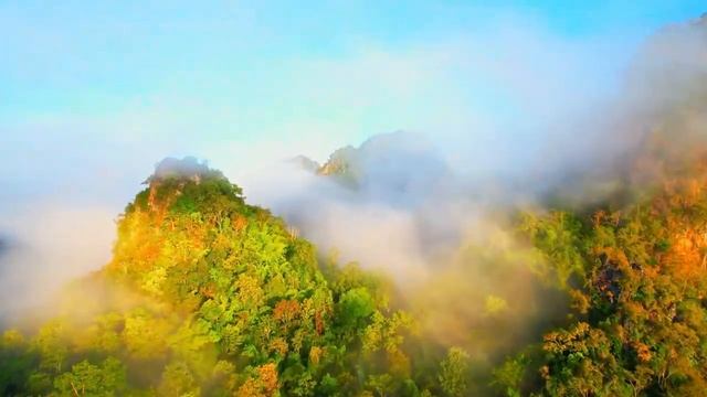 Три месяца я слушал только эту музыку! Лечебная музыка для сердца и сосудов. смотреть онлайн