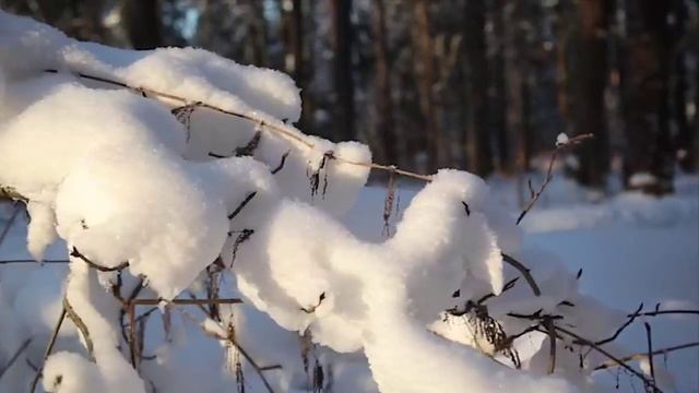 В ГАРМОНИИ ШУБЕРТА. смотреть онлайн