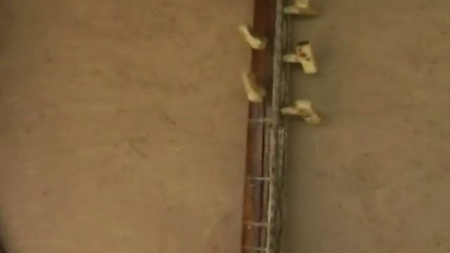 Saz Master / Musician Ashug (Dagestan Expedition By Bulat Gafarov)