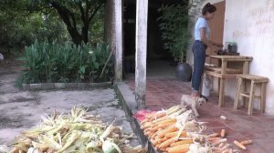 60 Busy Days Harvesting Corn, Lotus Seeds & Melons Fruit Goes market sell - Build & Animal care Far
