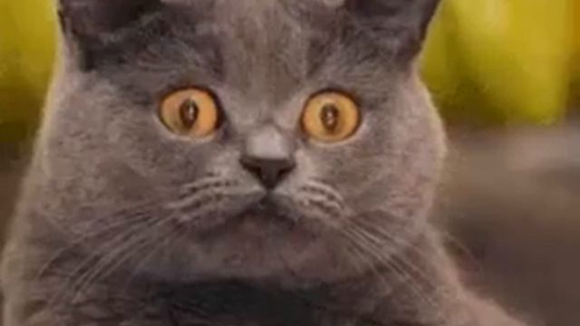 я вернулась {13:30} и это не время выпуска)) смотреть онлайн