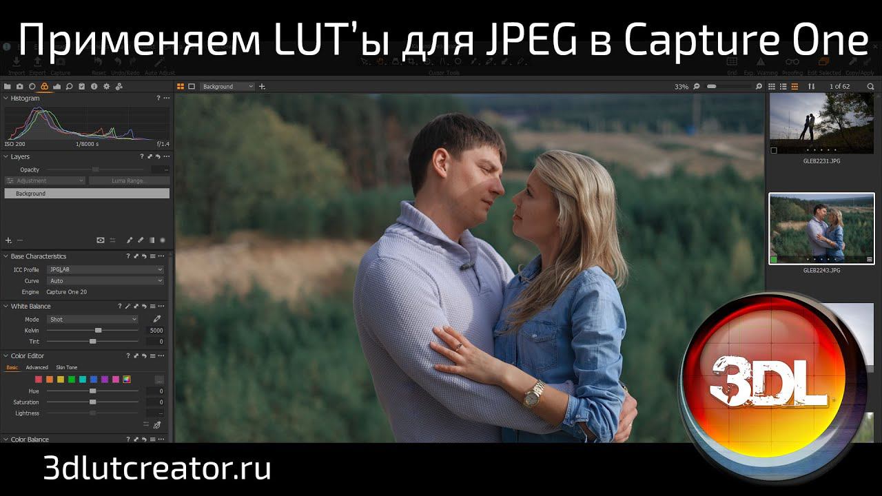 Применяем LUT’ы для JPEG в Capture One смотреть онлайн