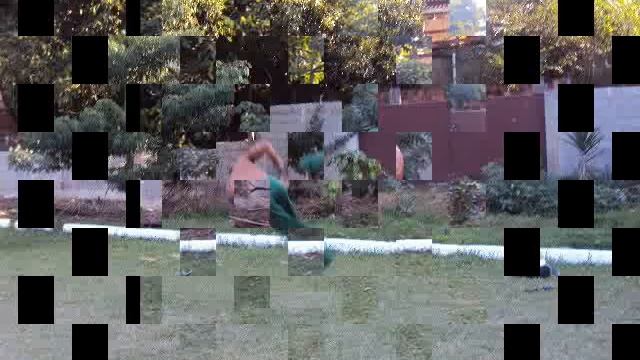 meme capoeira.wmv смотреть онлайн