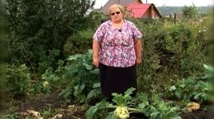 Что приготовить из капусты кольраби