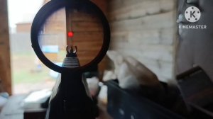 Vector Optics Continental 1-6x24 SFP, первые впечатления