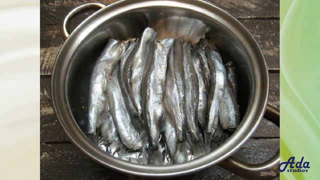 Анимационные Фильмы для Детей и Взрослых