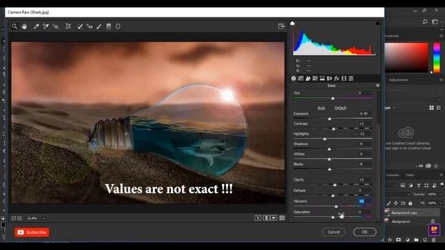 Camera Raw Filter Presets | Adobe Photoshop | смотреть онлайн