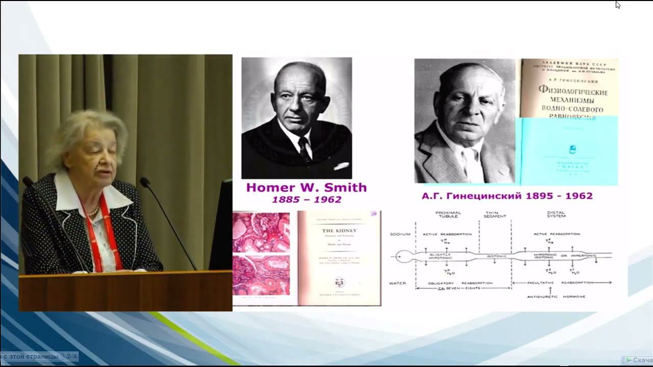 Формирование нефрологической службы Москвы: исторический экскурс