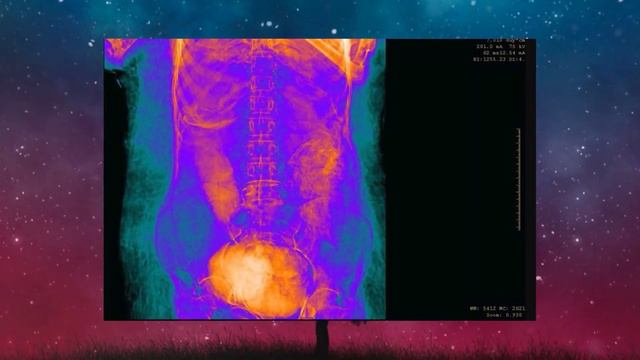 Los cientificos entran en panico al anunciar este nuevo descubrimiento Cientifico Arqueologico. смотреть онлайн