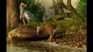 Всё о птицах' Дронт'