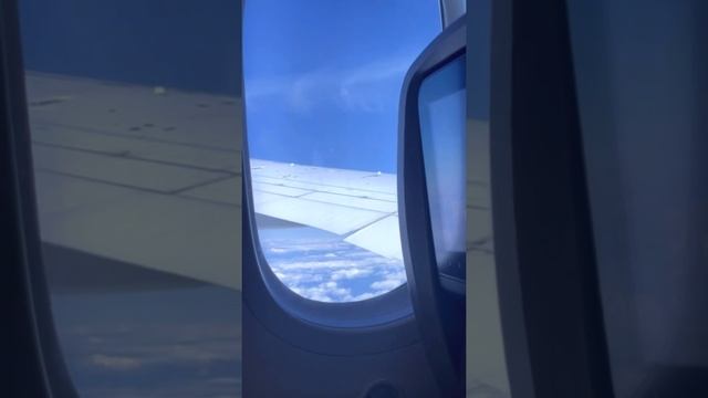 Летим домой ❤️ Москва-Ташкент❤️ Uzbekistan Airways ??