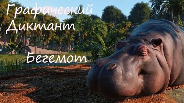 Графический Диктант Бегемот смотреть онлайн