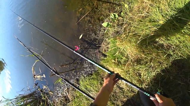 Ловля окуня на малька смотреть онлайн